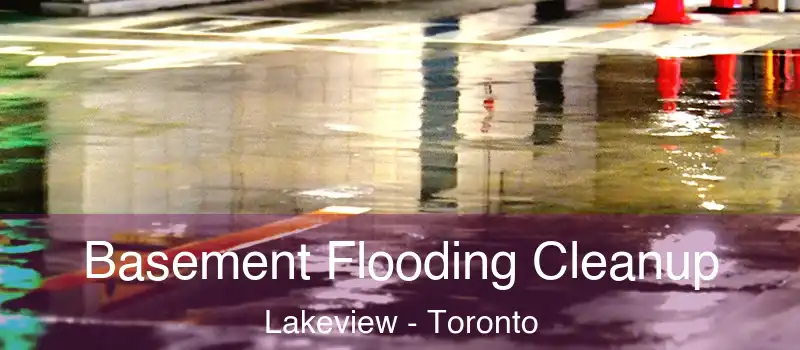  Basement Flooding Cleanup Lakeview - Toronto