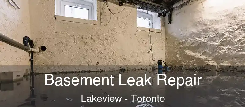  Basement Leak Repair Lakeview - Toronto