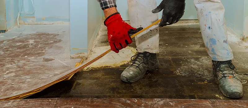 Cost Of Flooded Basement Cleanup in Lakeview, Toronto