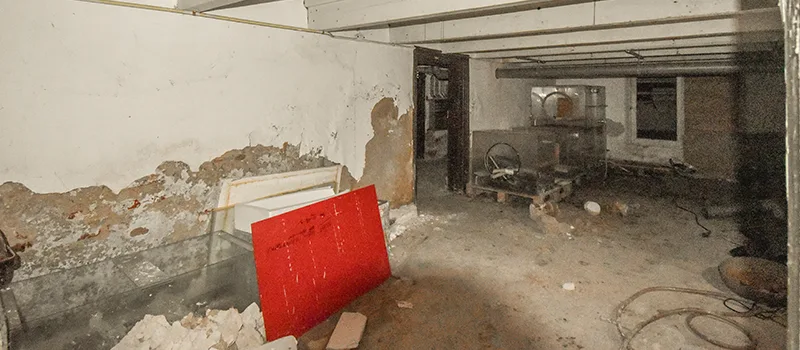 Home Basement Renovation in Lakeview, Toronto