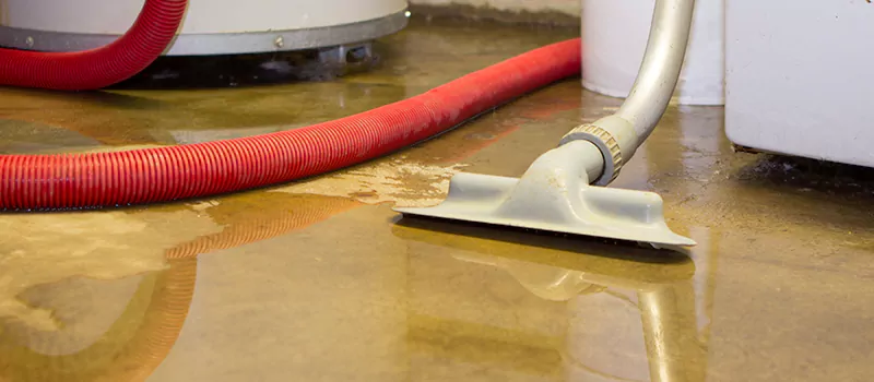 Professional Sewer Backup Cleanup Services in Lakeview, Toronto