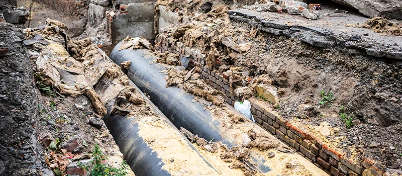 Commercial Sewer Tree Roots Damage Solutions in Lakeview, Toronto
