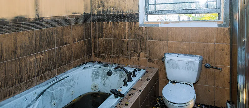 Residential Water Damage Restoration in Lakeview, Toronto