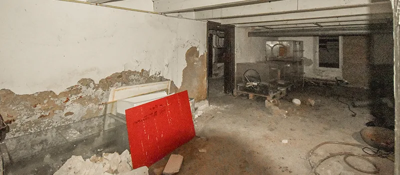Basement Water Flooding Restoration in Lakeview, Toronto