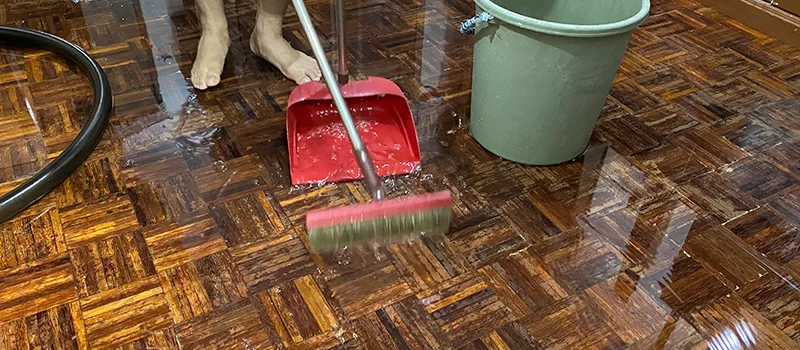 Water Removal And Restoration Services in Lakeview, Toronto