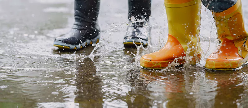Emergency Flood Recovery Plumbing Services in Lakeview, Toronto