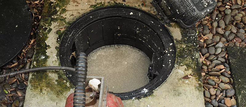 Hydro Jetting For Root Removal in Lakeview, Toronto