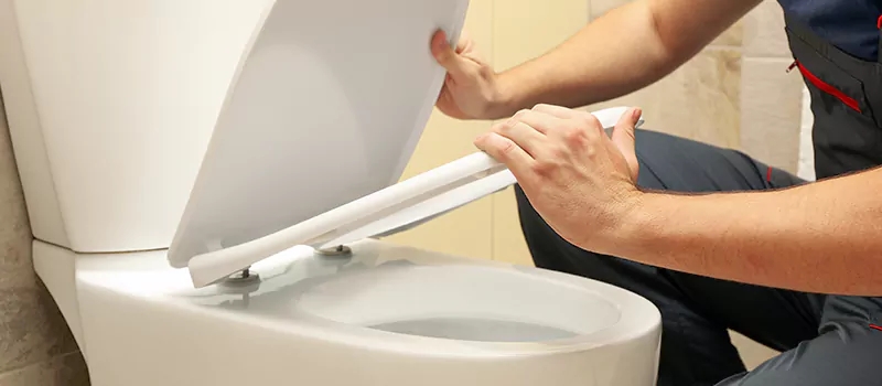 Damaged Toilet Parts Replacement Services in Lakeview, Toronto