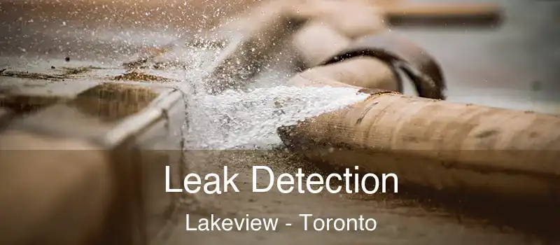  Leak Detection Lakeview - Toronto
