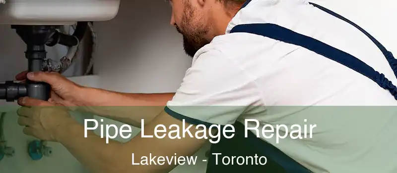  Pipe Leakage Repair Lakeview - Toronto