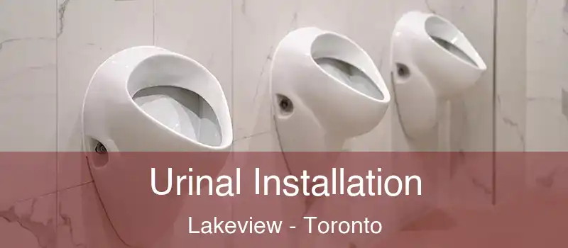  Urinal Installation Lakeview - Toronto