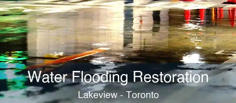  Water Flooding Restoration Lakeview - Toronto