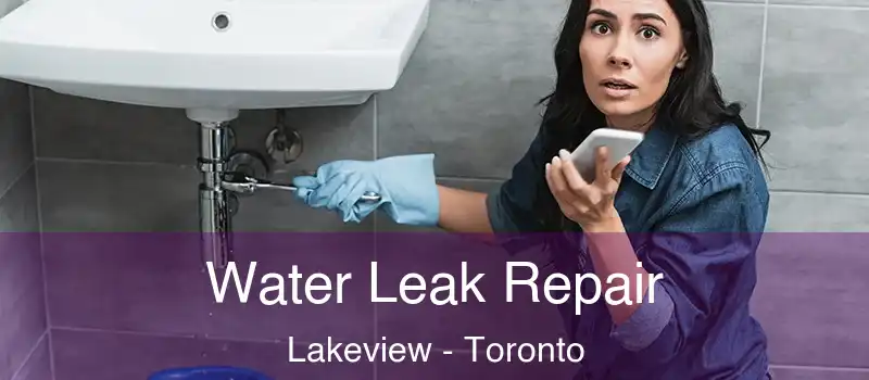  Water Leak Repair Lakeview - Toronto